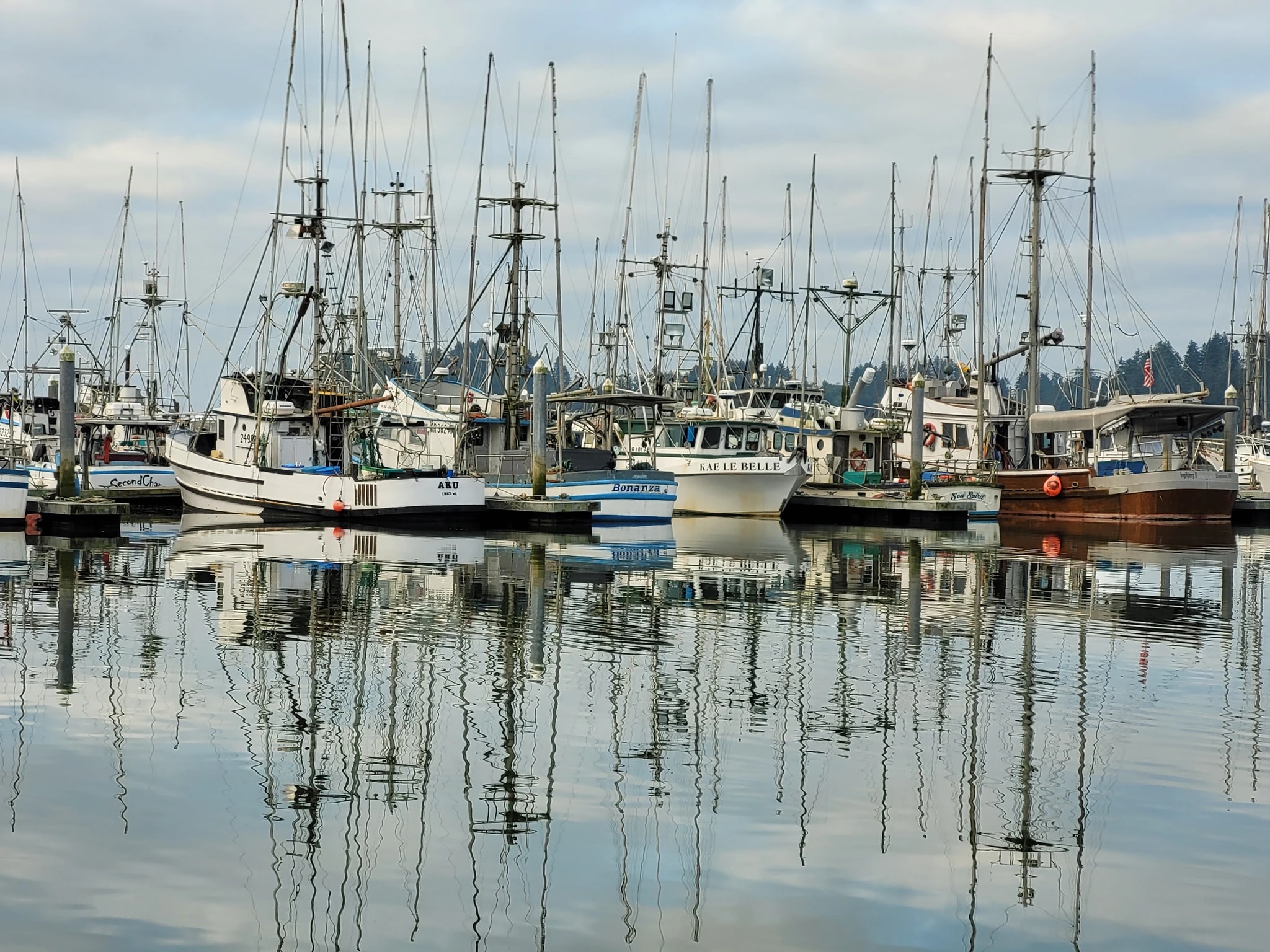 Harbor Reflections Gray 4