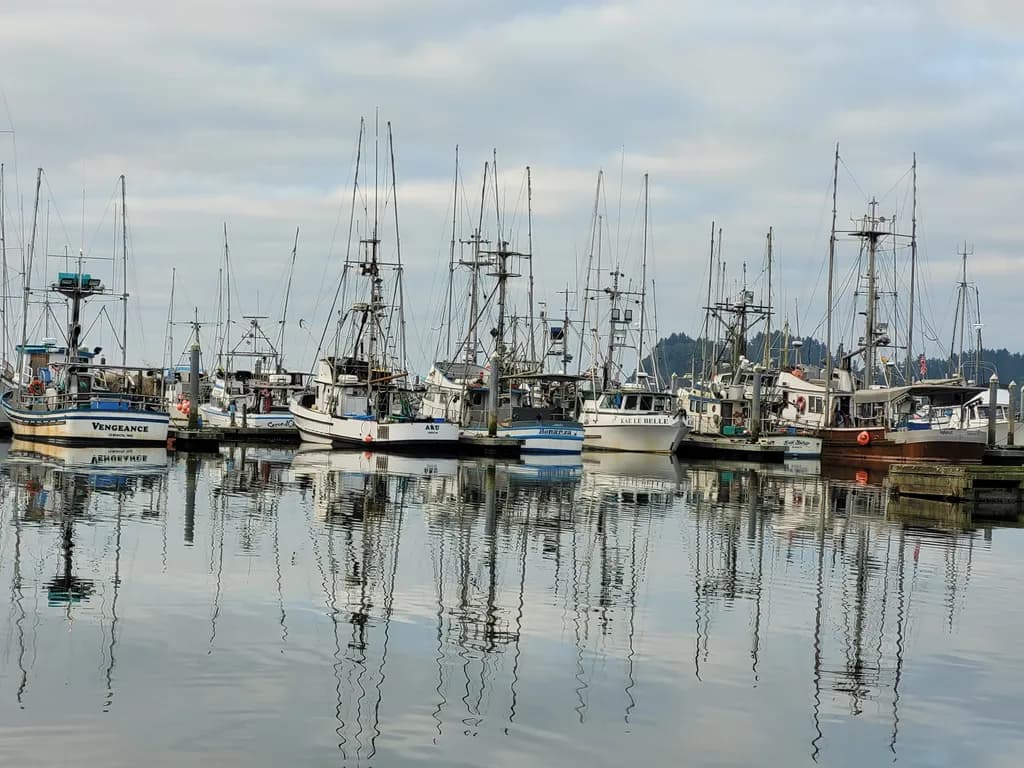 Harbor Reflections Gray 2