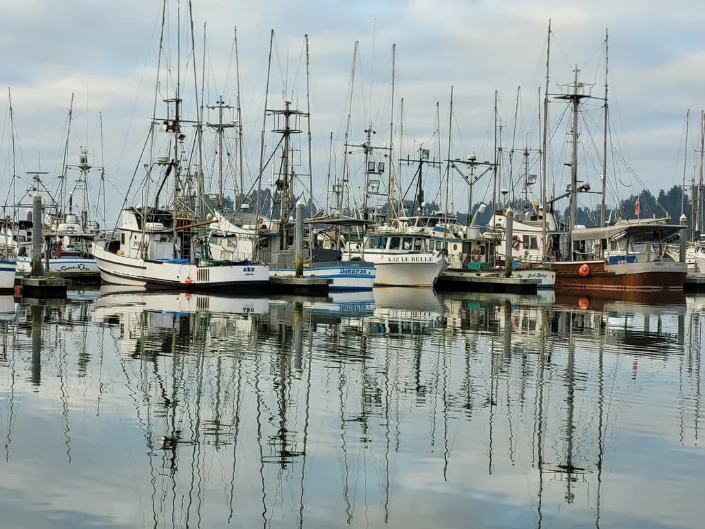 Harbor Reflections Gray 4
