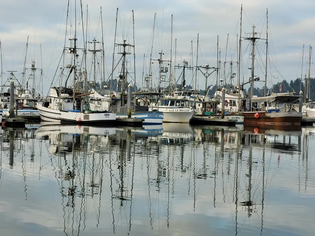 Harbor Reflections Gray 3