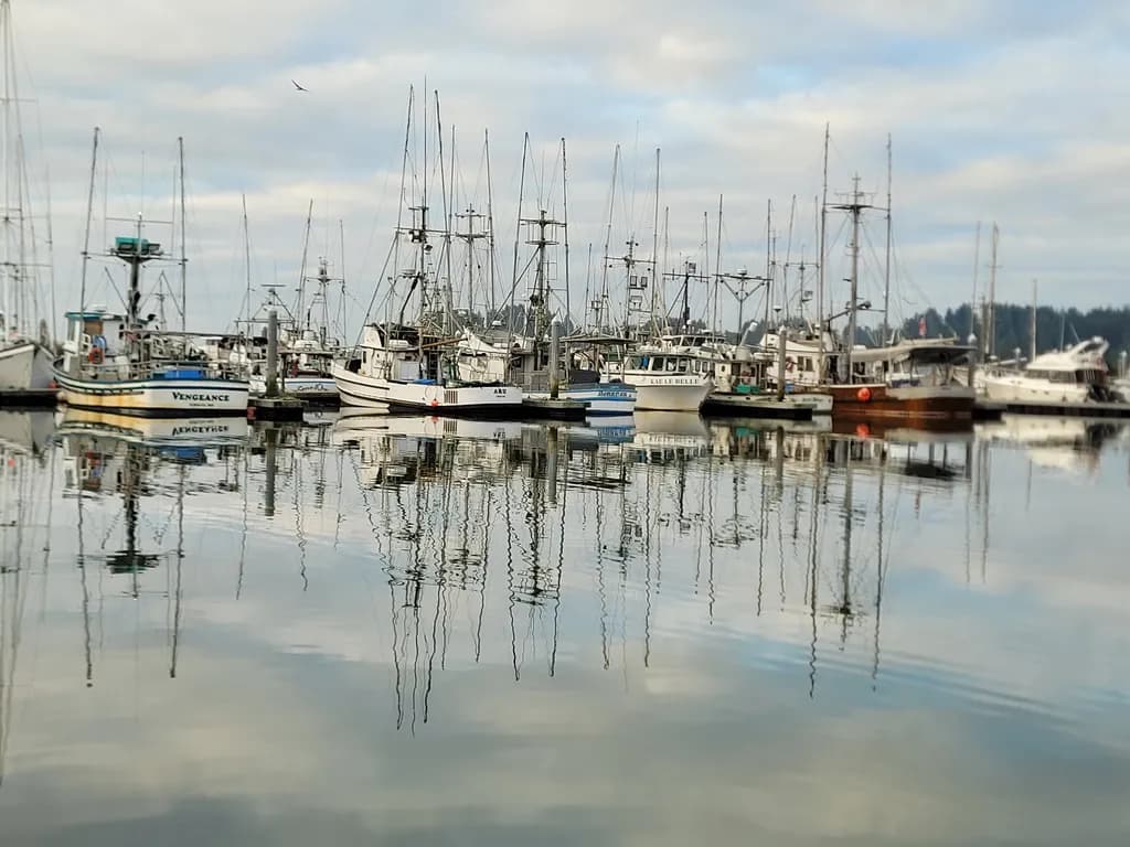 Harbor Fleet Reflections Gray 1