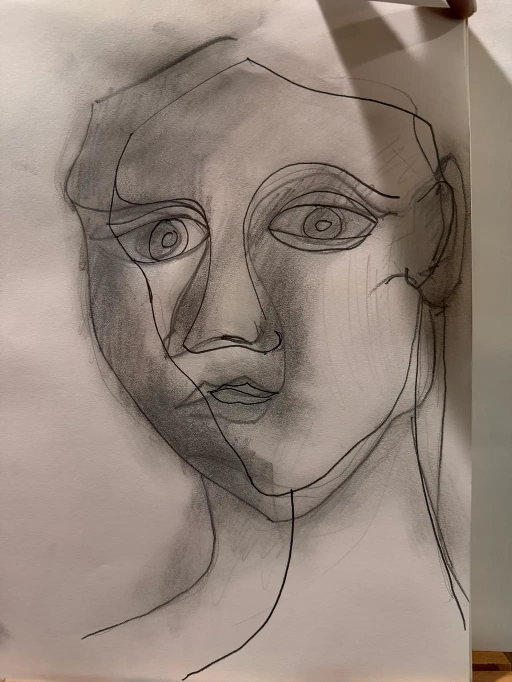 Abstract Portrait Lines