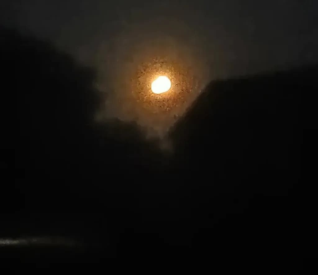 Moonlit Nightscape