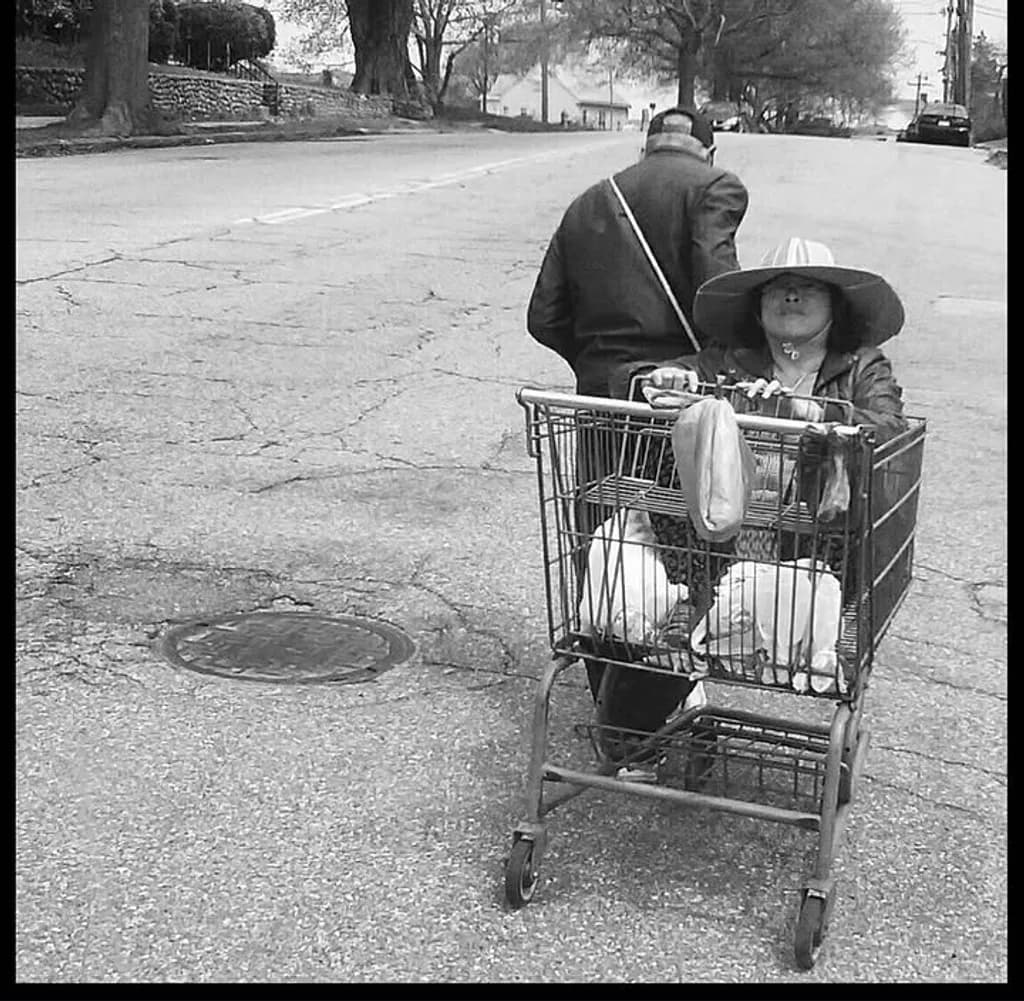 Street Shopping Cart