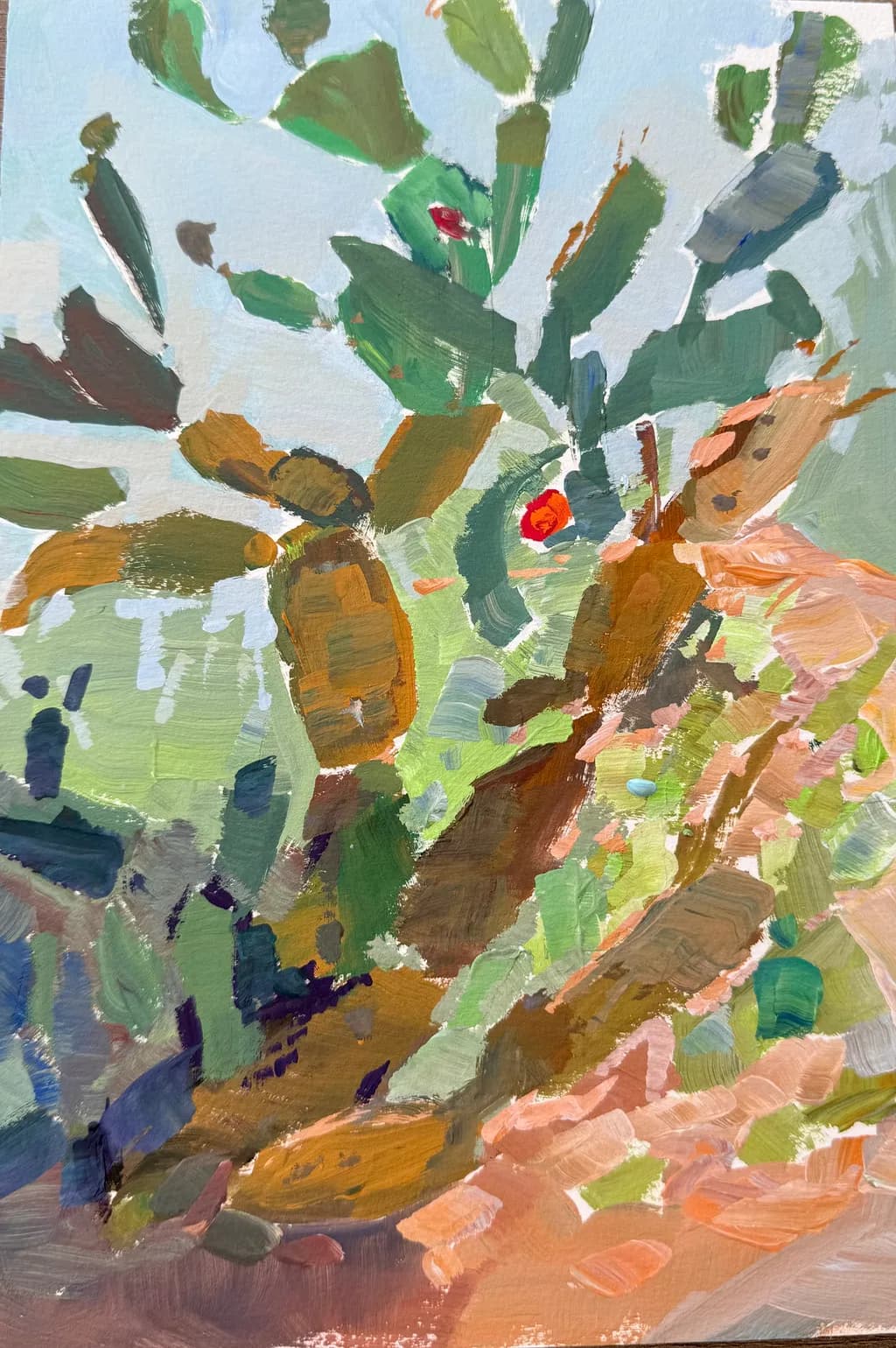 Cactus Formations