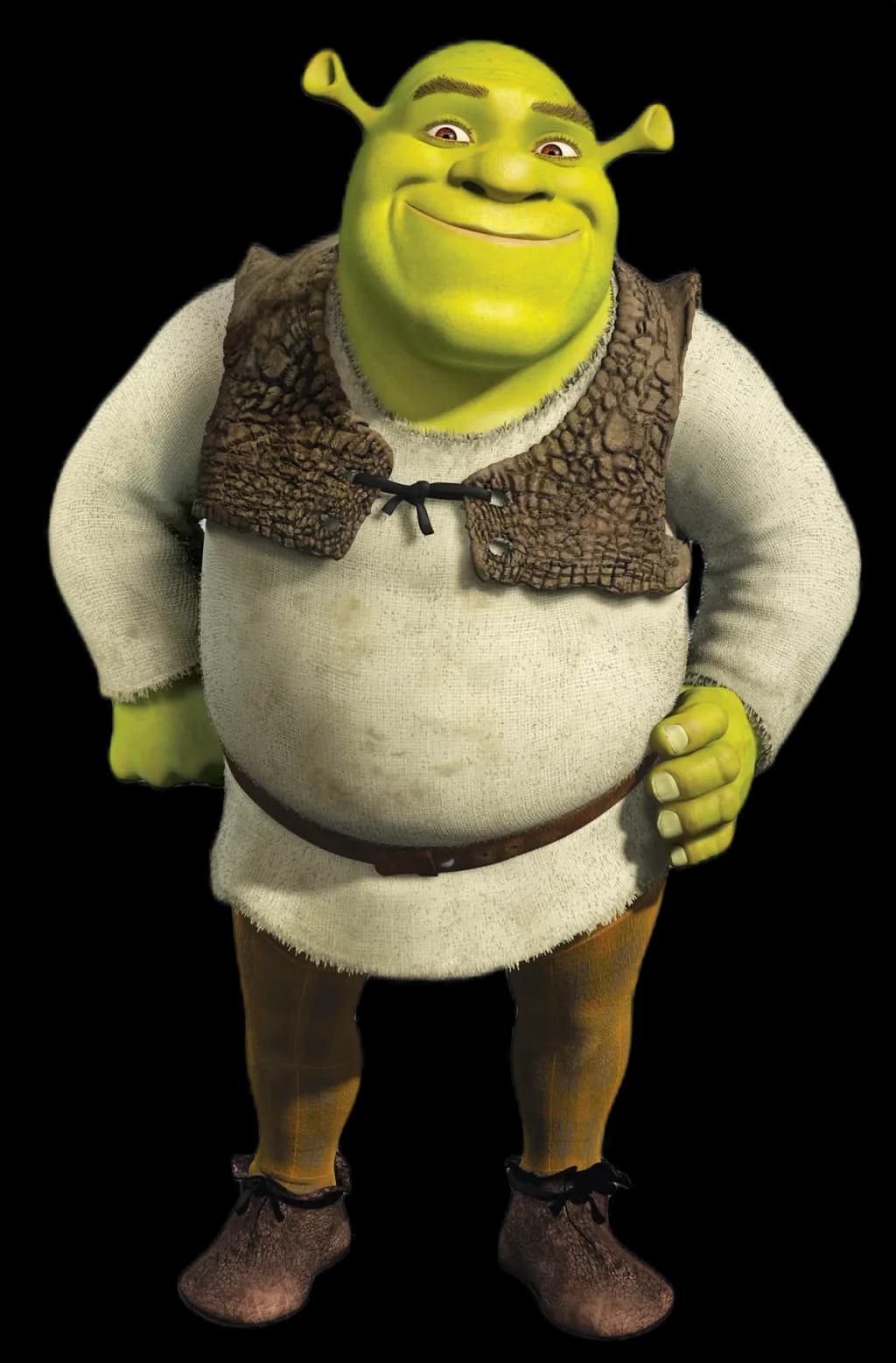 Shrek Character Portrait