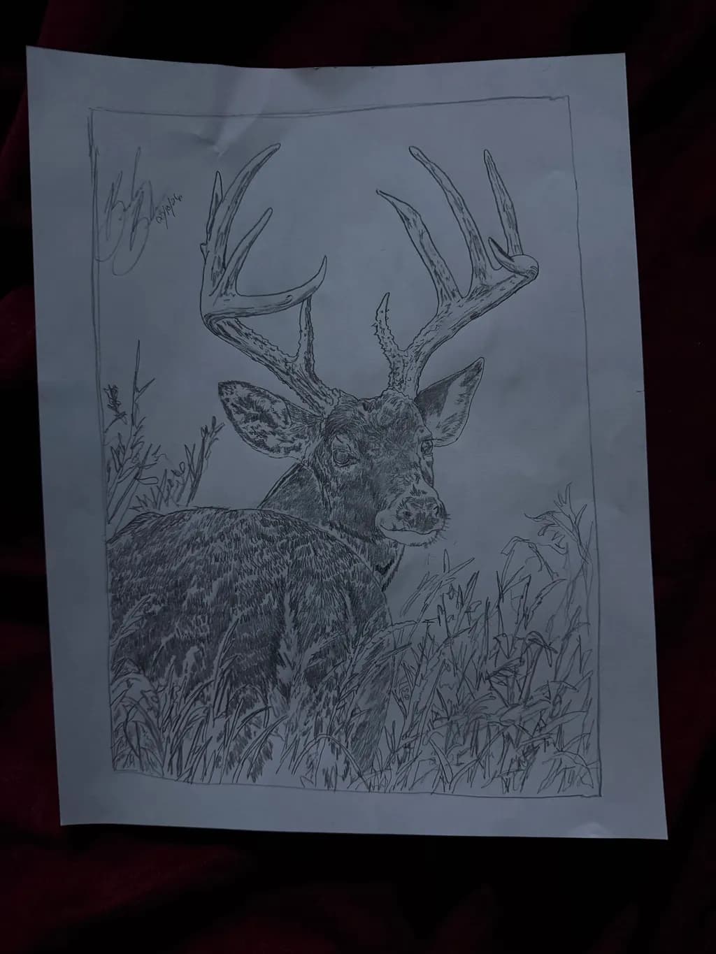 Buck in the Grass