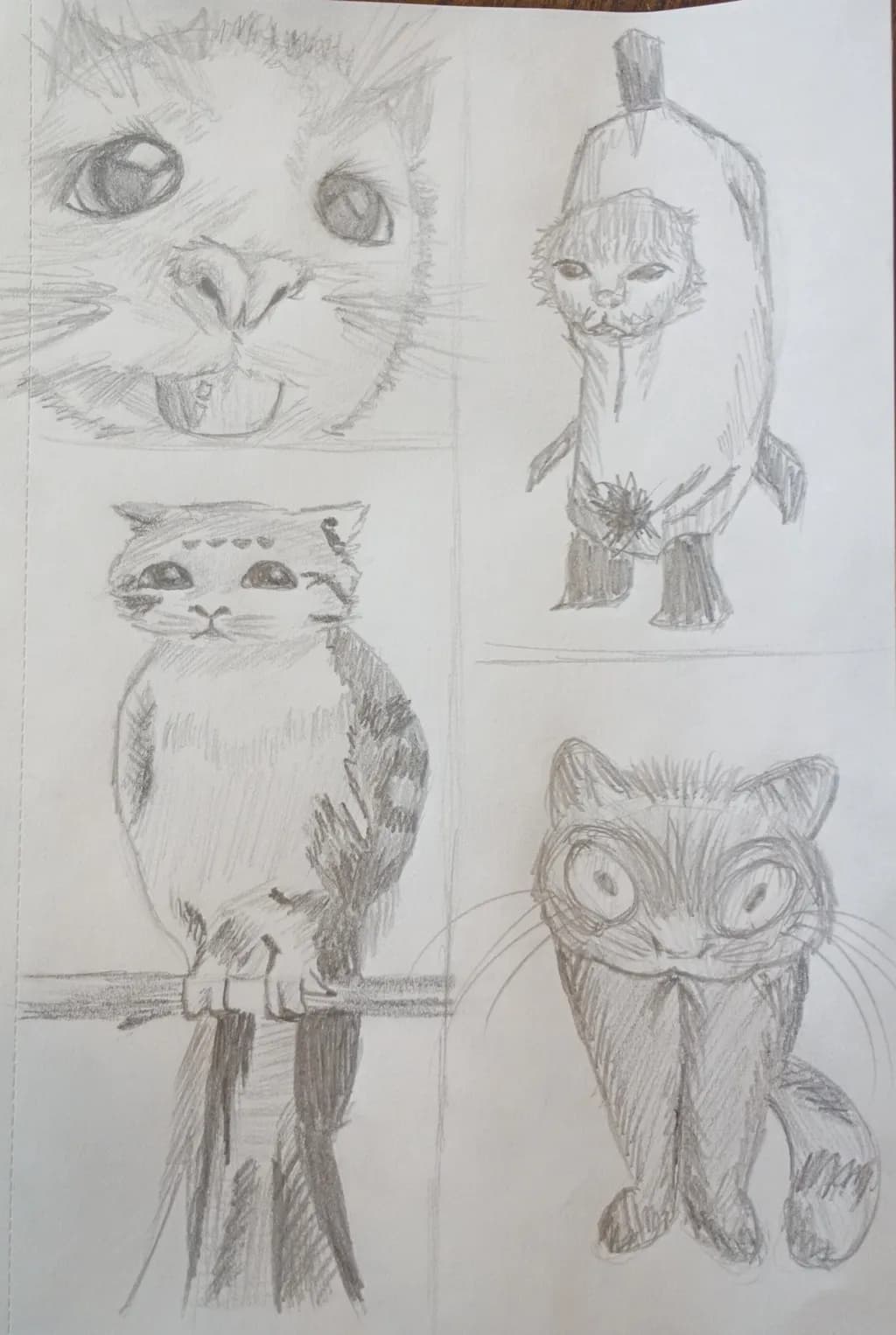 Cat Expressions Sketches
