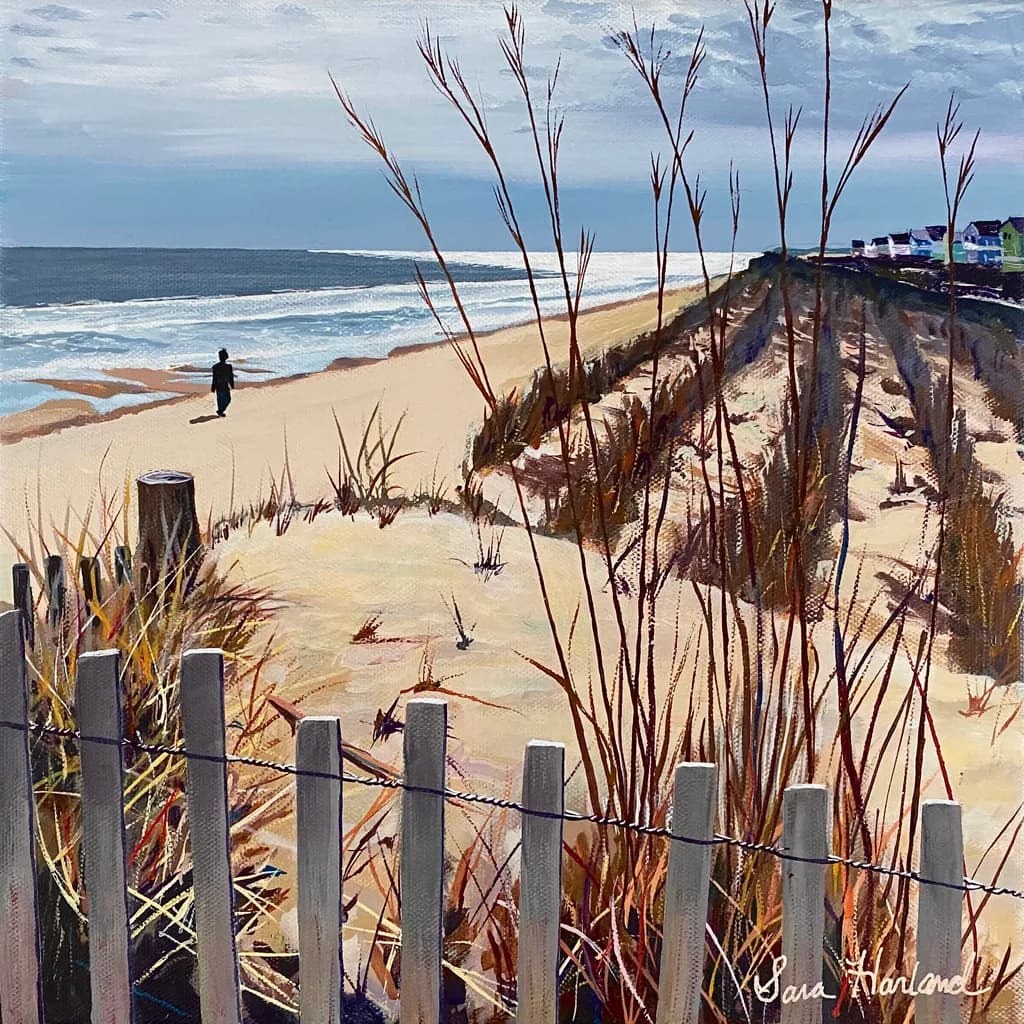 Beach Dunes Fence