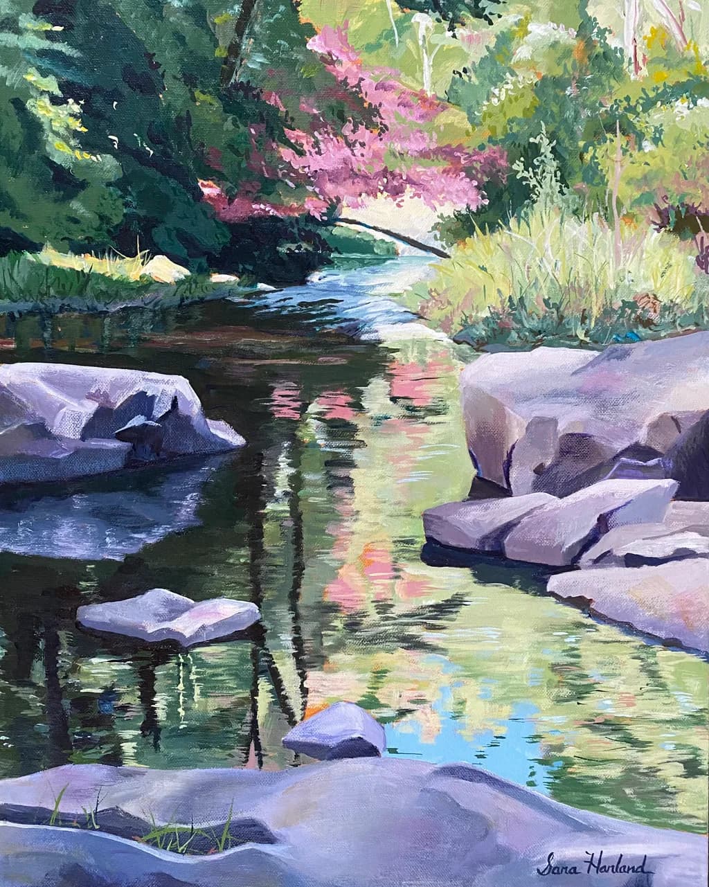 Stream Reflections