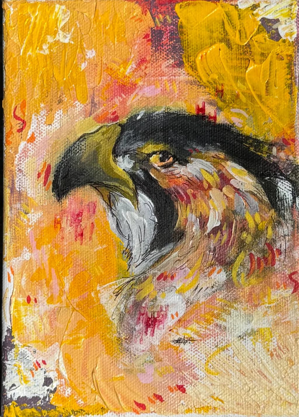 Falcon Profile