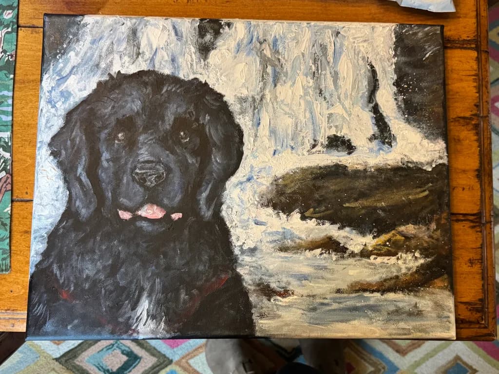 Black Dog by Waterfall