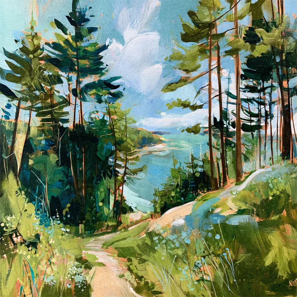 Forest Path Overlook