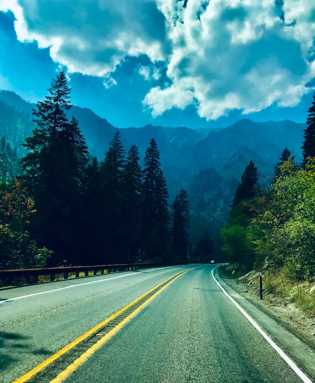 Image du post 4