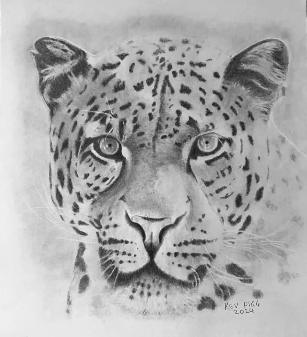 Leopard Gaze