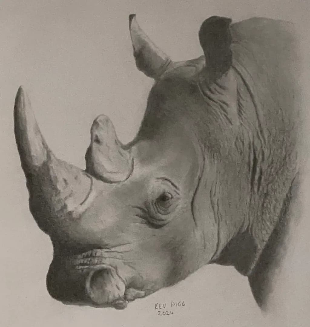 Rhino Profile
