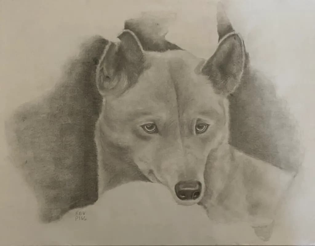 Canine Gaze