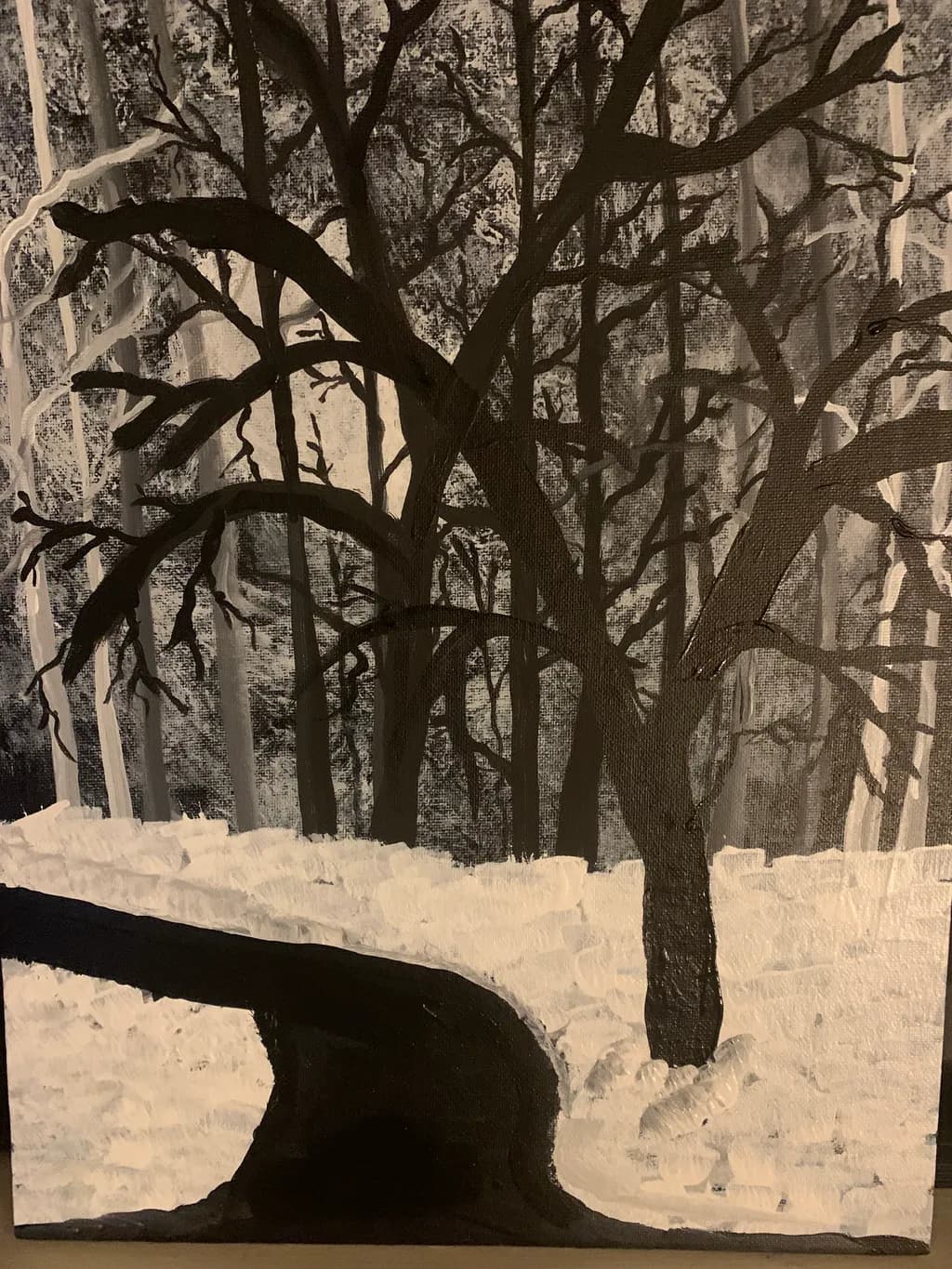 Winter Forest Path
