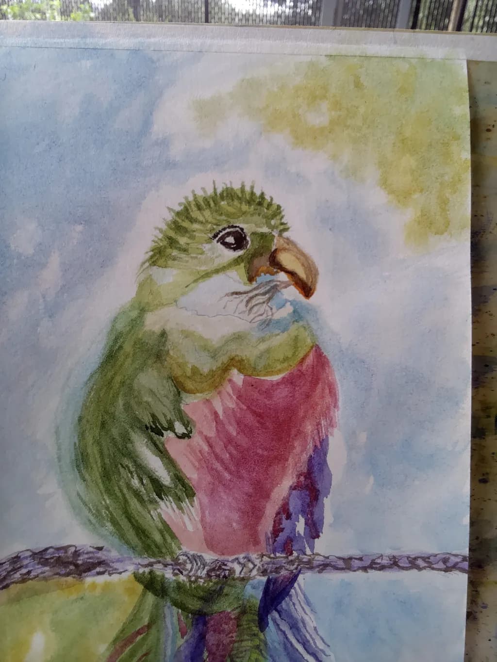 Colorful Parrot on Branch