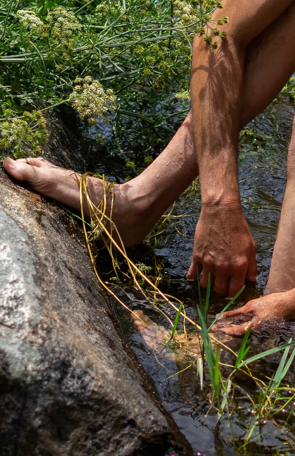 Hands and Feet in Water