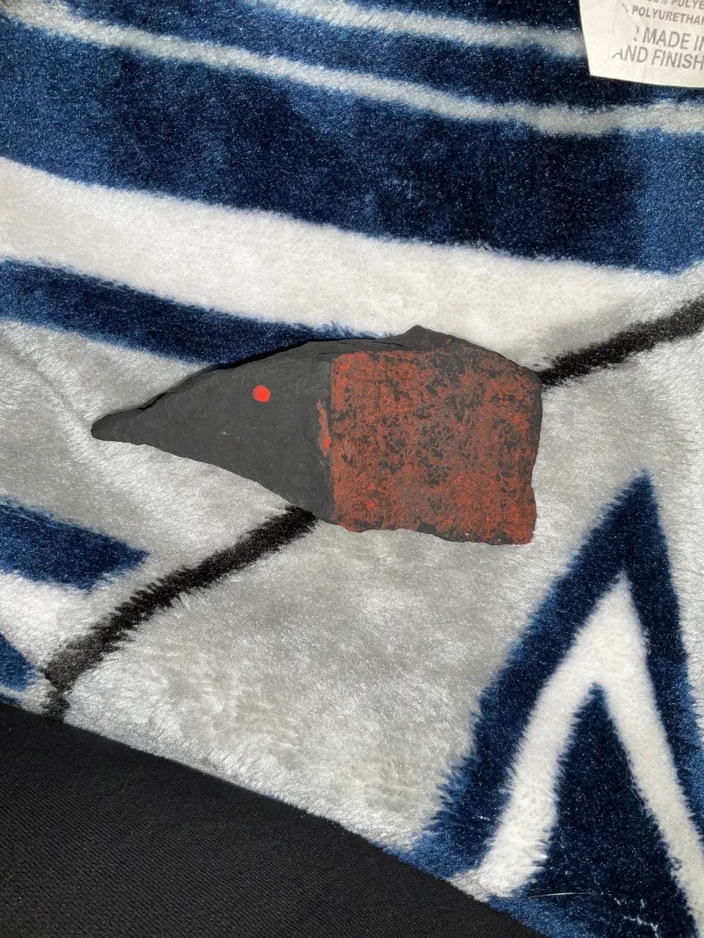 Raven Fragment