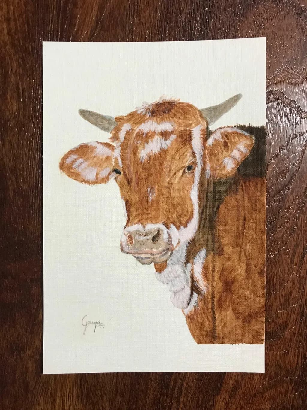 Brown Cow Portrait