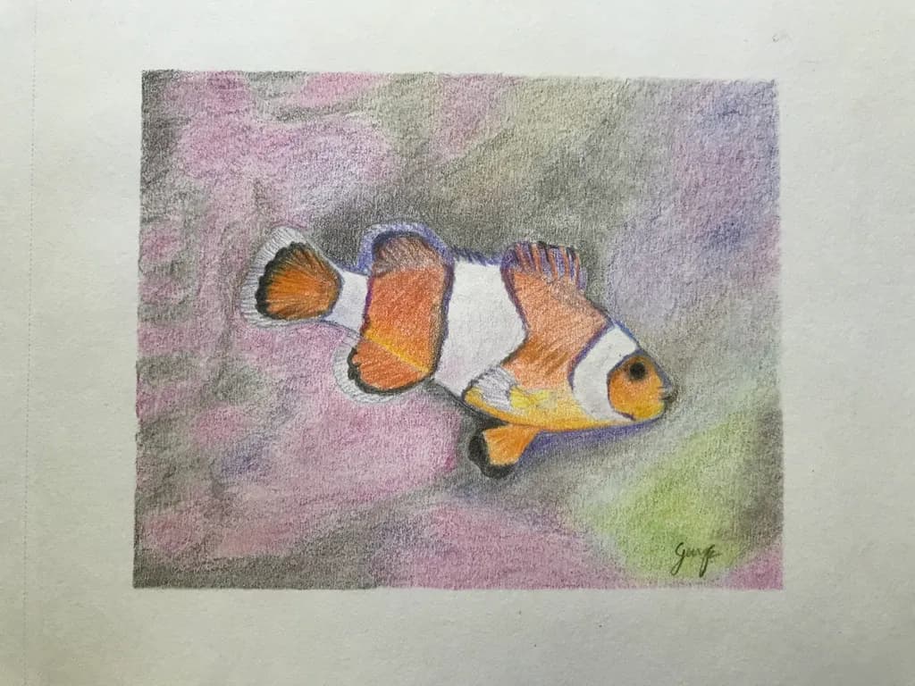 Clownfish Swim