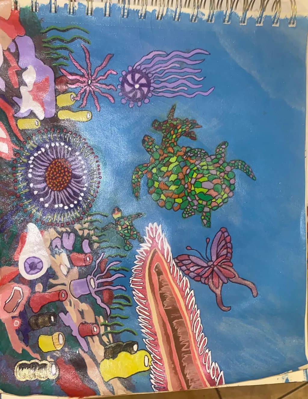 Coral Reef Life