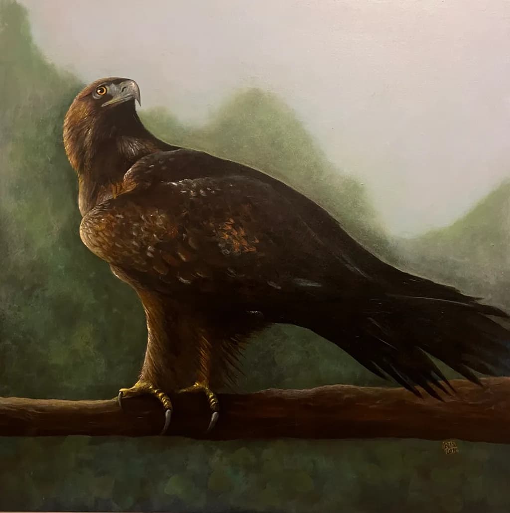 Perched Eagle
