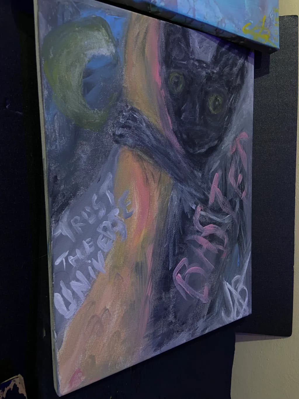 Black Cat Universe