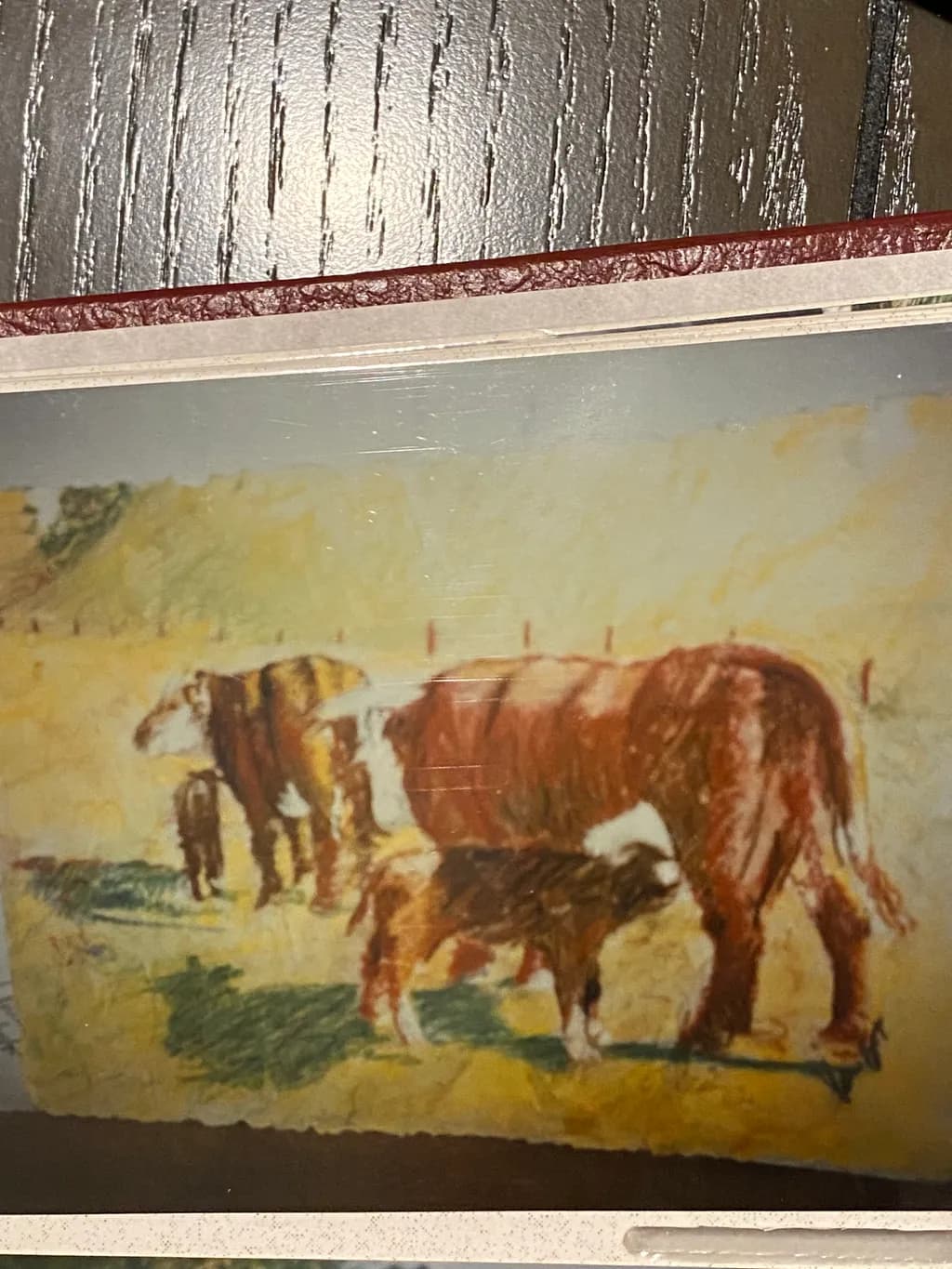 Grazing Cows