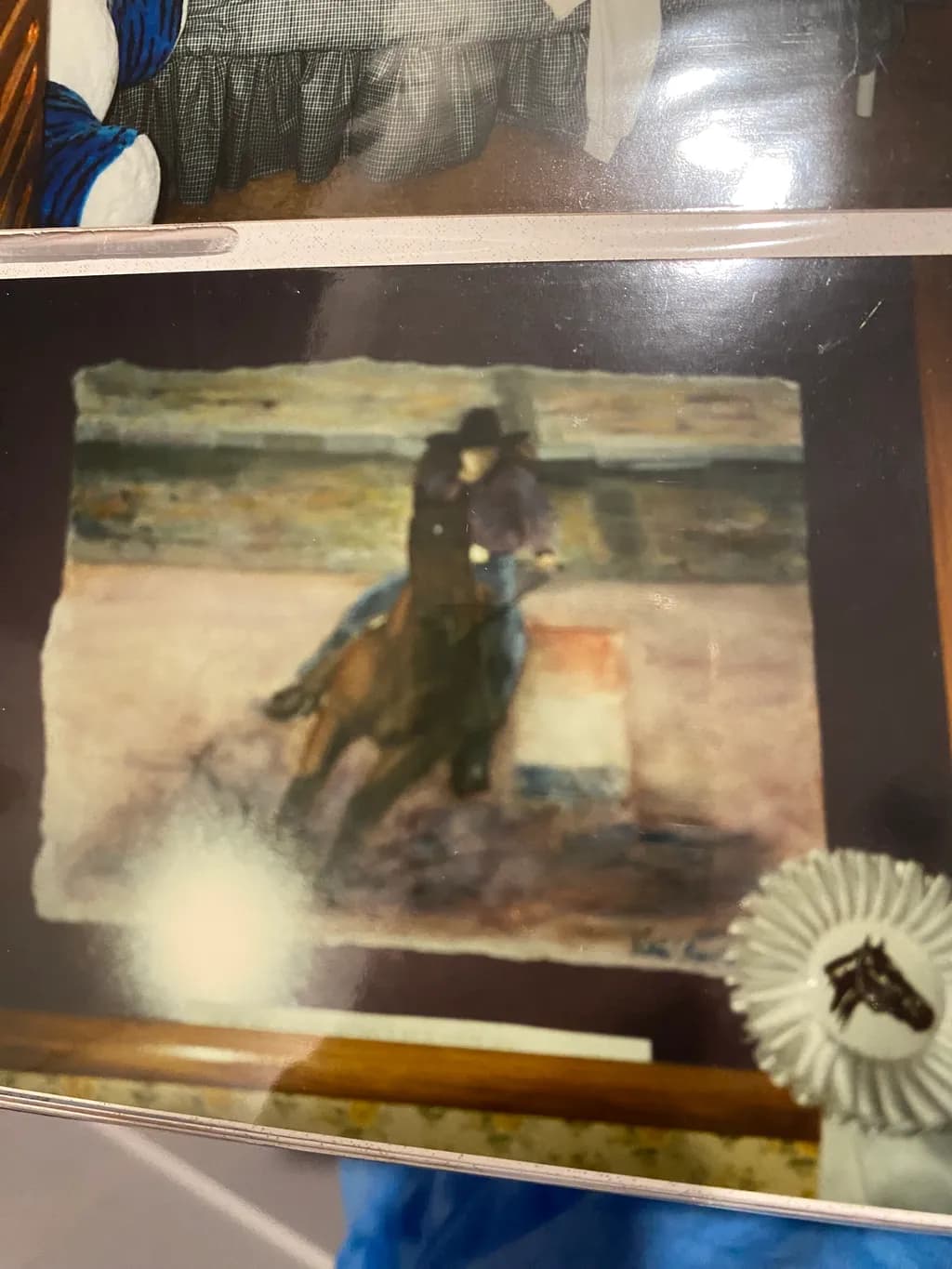 Barrel Racing Horse