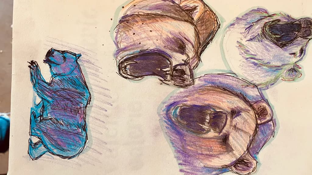 Roaring Bears Study