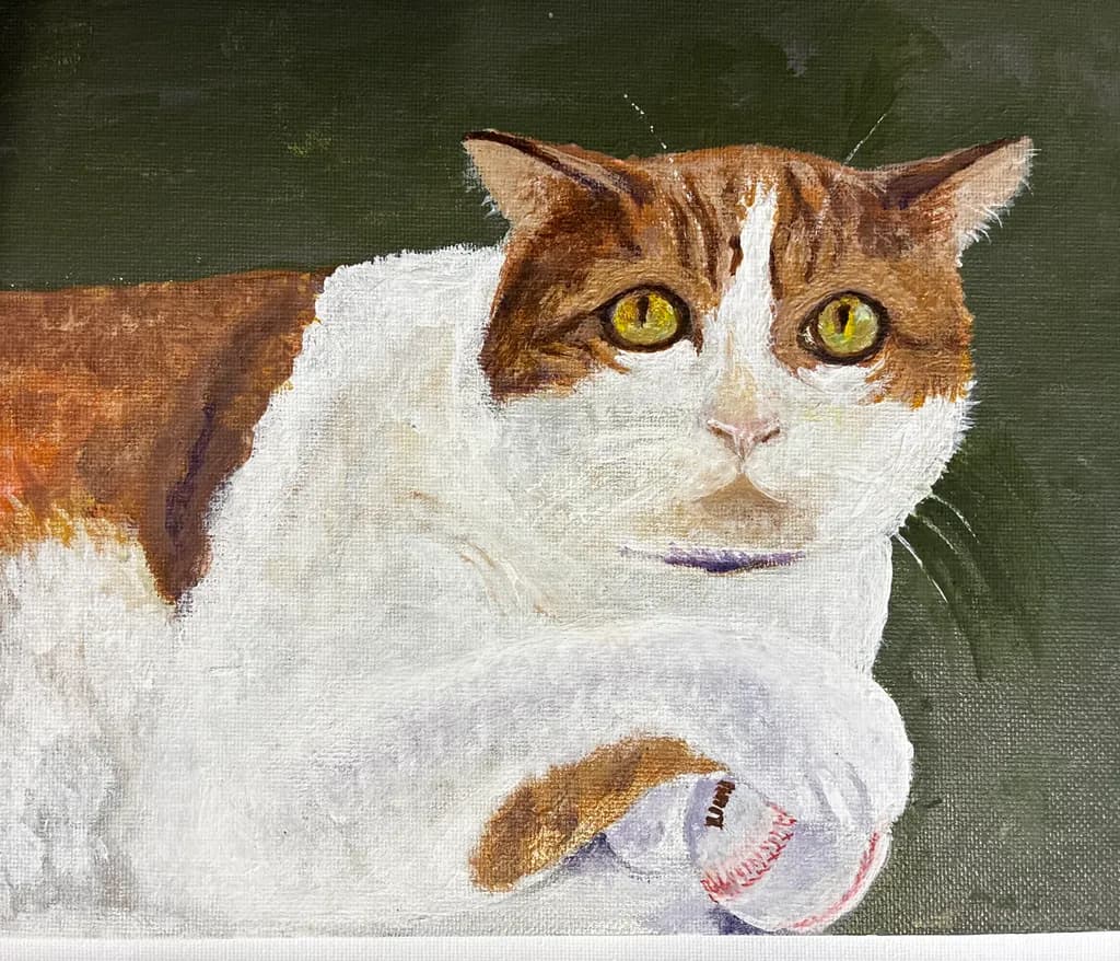 Cat with Baseball
