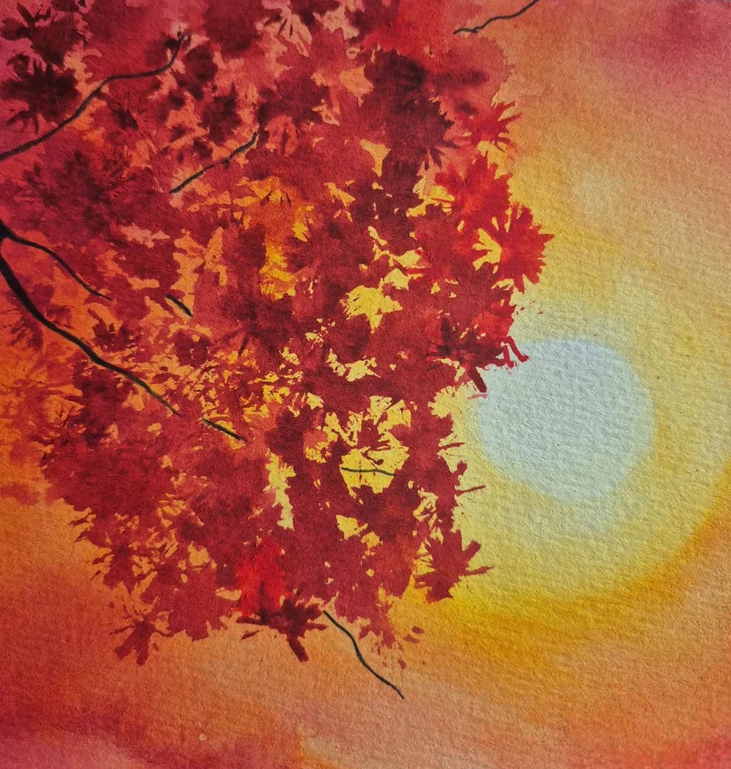 Autumn Leaves Sunlight