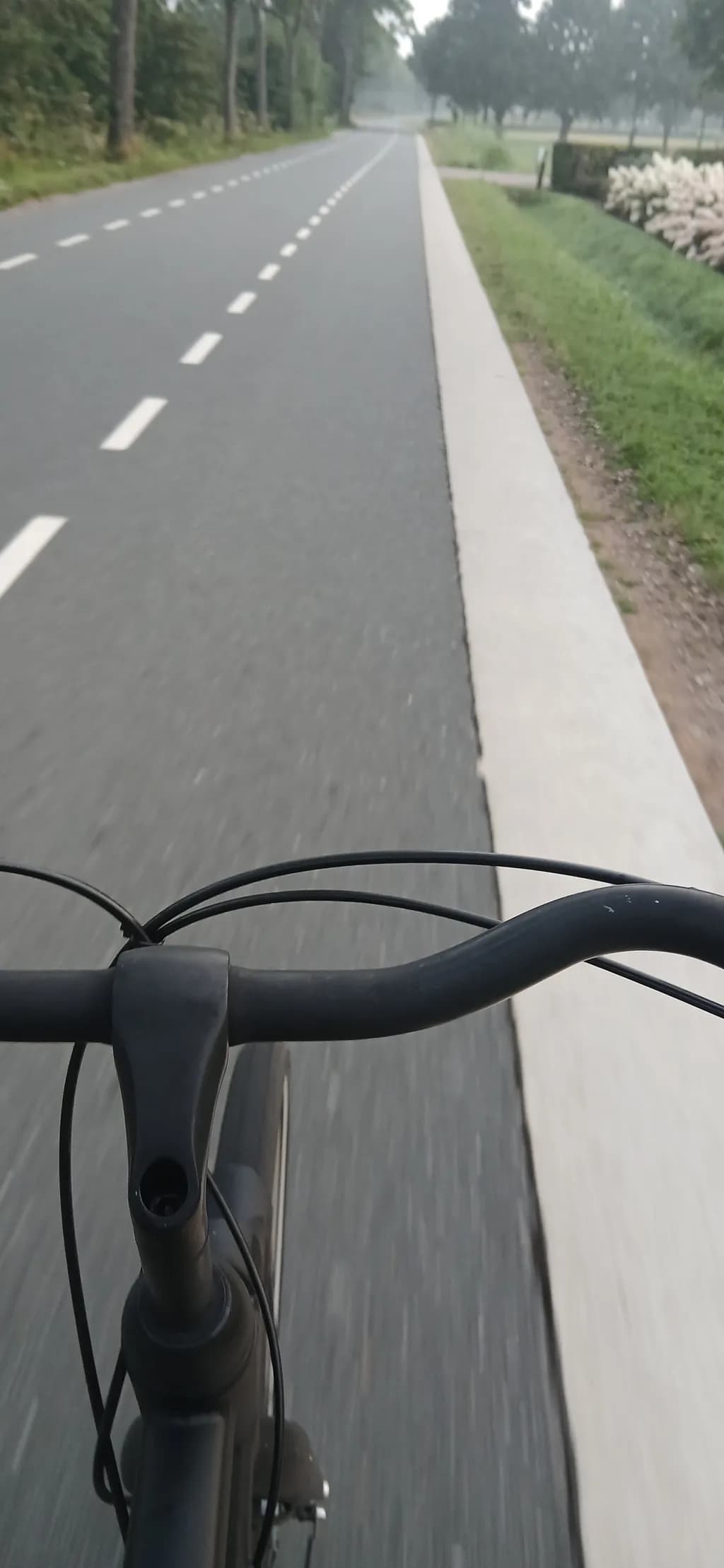 Road Bicycle Ride