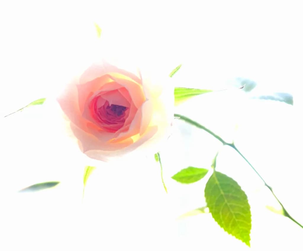 Rose Bloom with Leaves