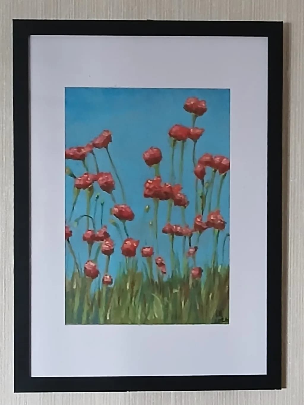 Red Poppies Field