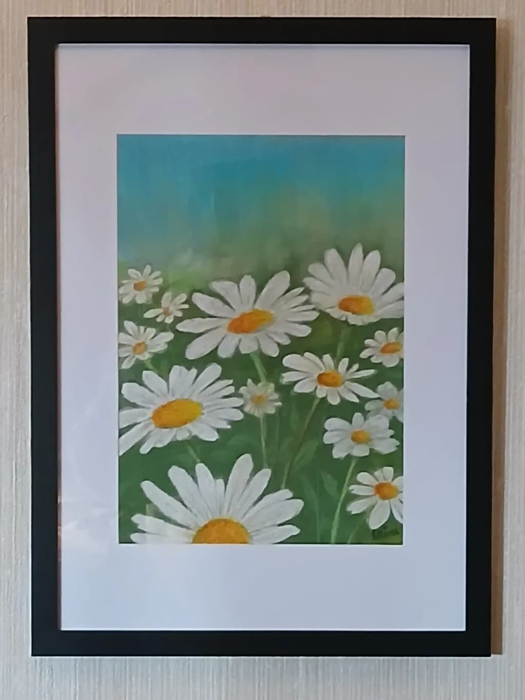 Field of Daisies