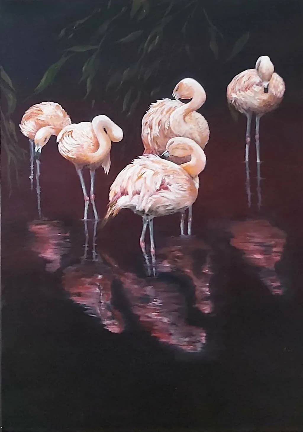 Flamingos Reflection