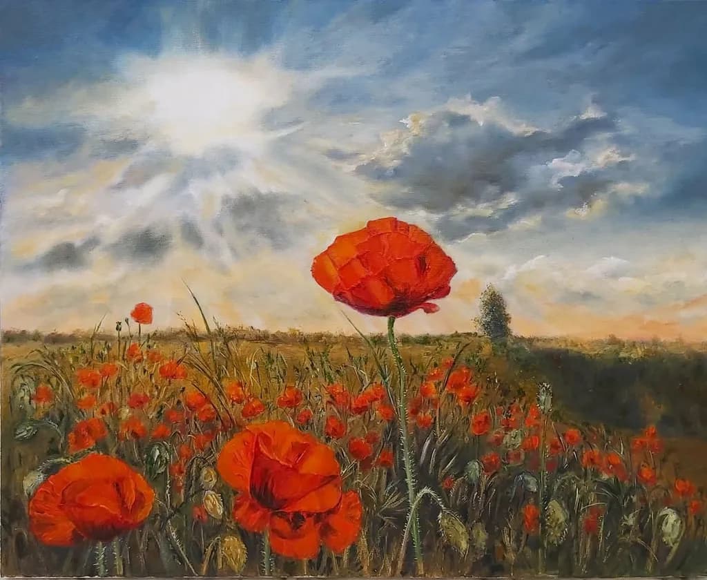 Poppy Field Sunrise