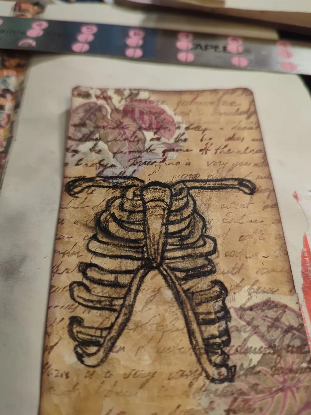 Rib Cage Manuscript