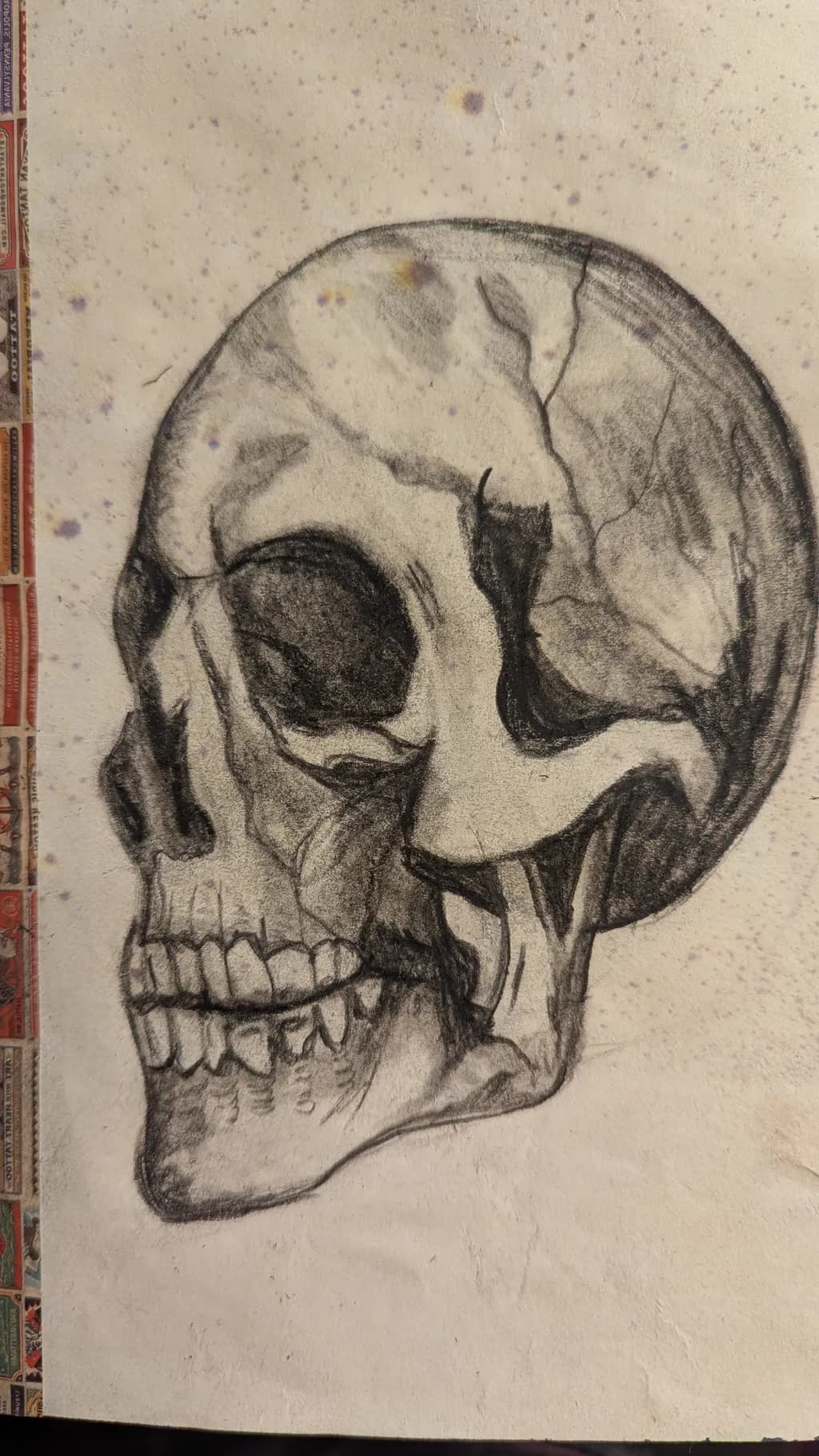 Charcoal Skull Study