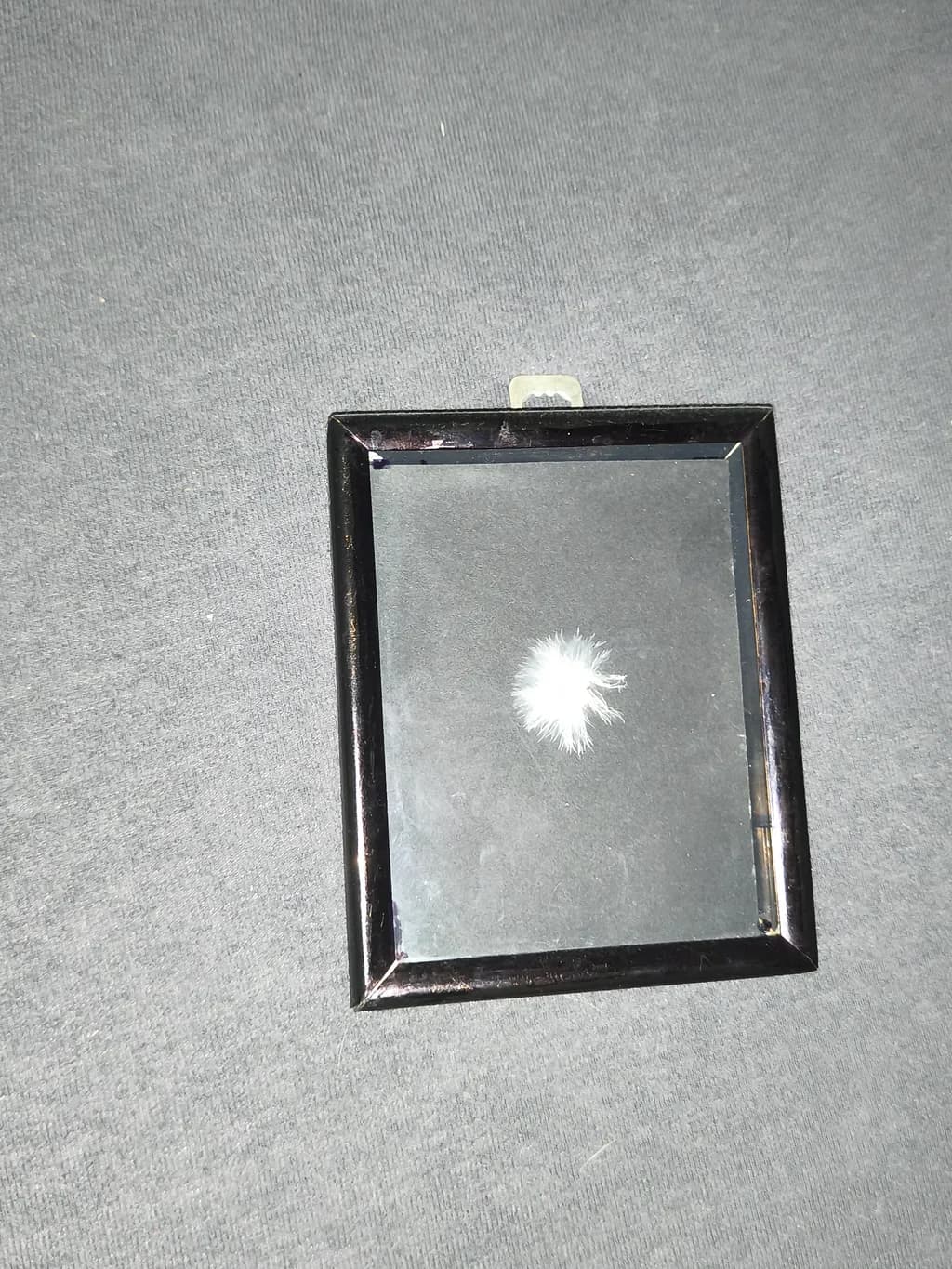 Feather Reflection Frame
