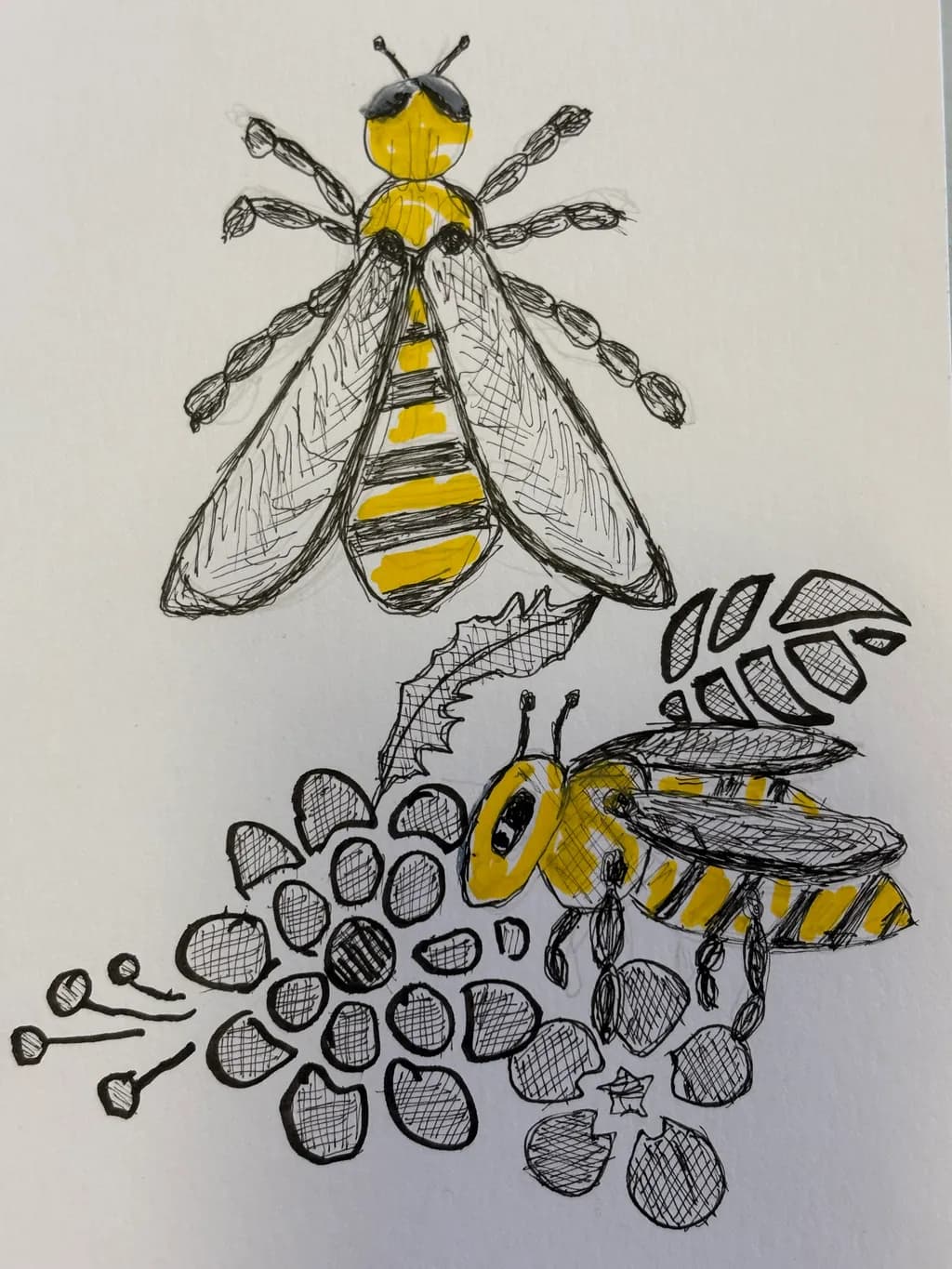 Bee and Flower Study