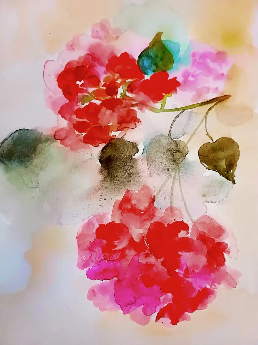 Red and Pink Flowers
