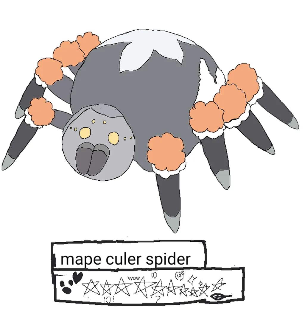 Mape Culer Spider