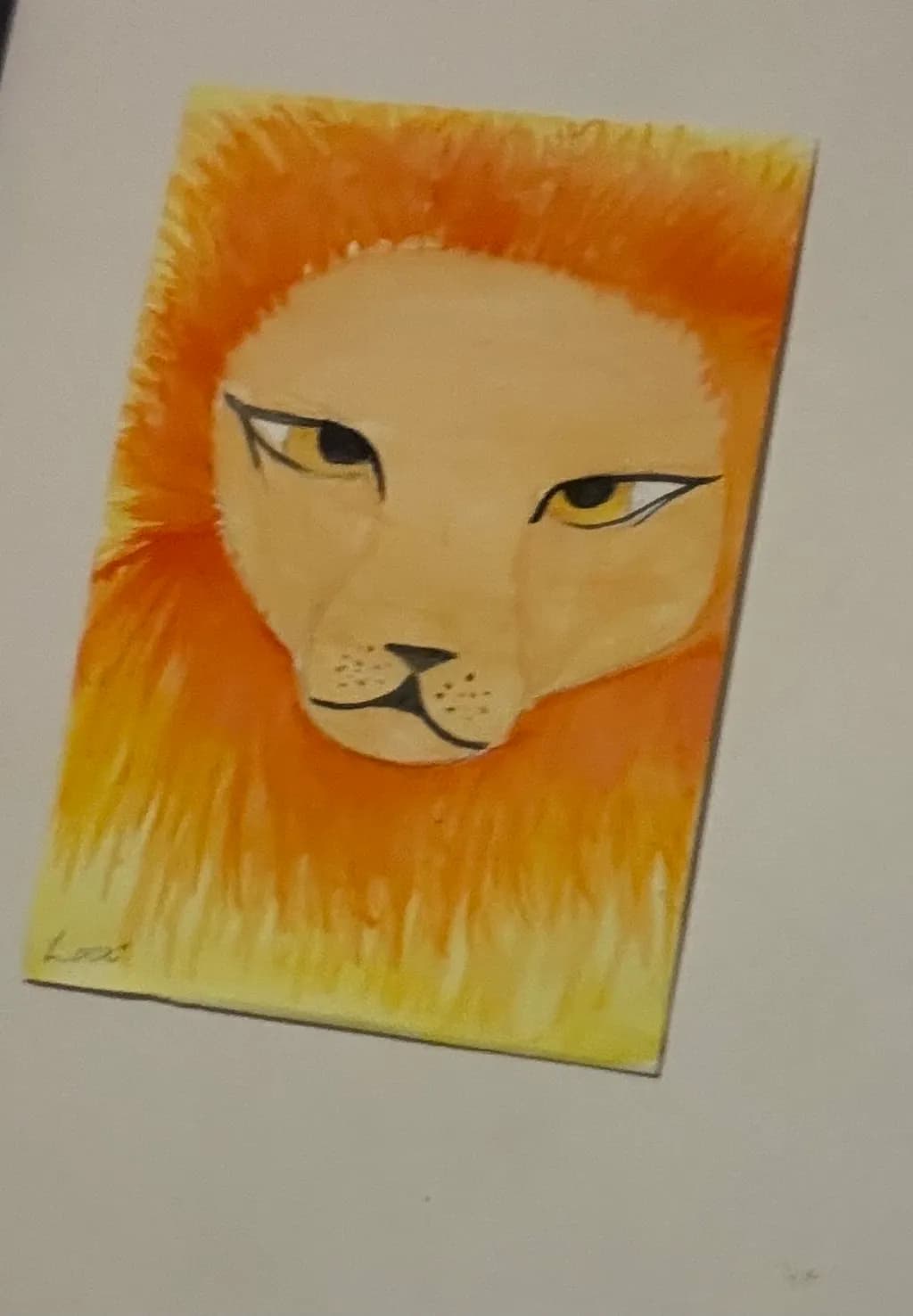 Lion Gaze