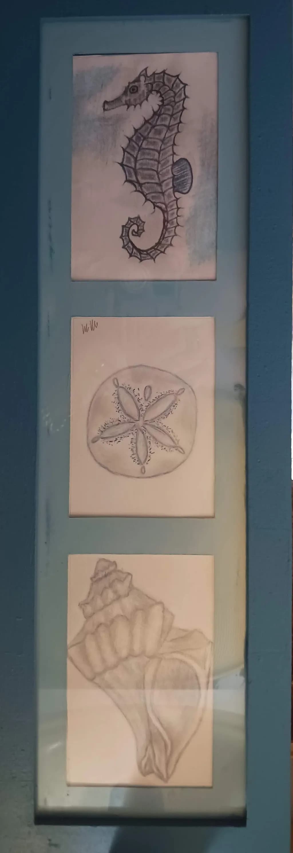 Seahorse, Sand Dollar, and Shell Trio