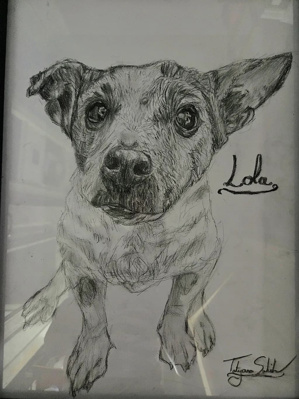 Dog Portrait Lola